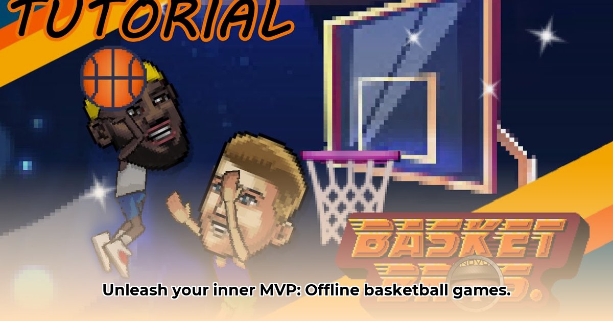 game-basket-offline